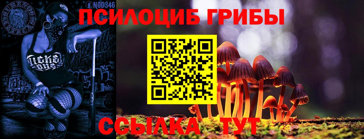 Псилоцибиновые грибы GOLDEN TEACHER  Галлюциногенные грибы прущие грибы  Вход с VPN  Кимовск 