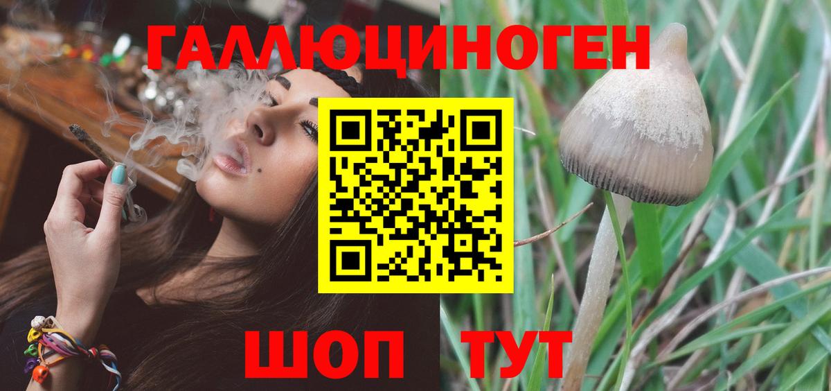 Галлюциногенные грибы ЛСД Кимовск